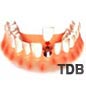 dental implant, 1 ���ö�Ʈ + 1 ũ���